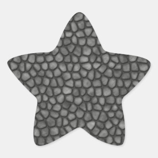 Pegatina En Forma De Estrella Piso de piedra