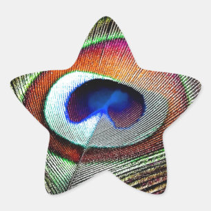 Pegatina En Forma De Estrella Pluma Colorida de Pavo Real de Cobre