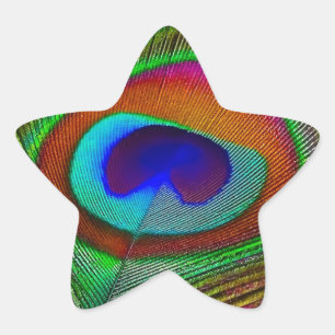 Pegatina En Forma De Estrella Pluma de pavo real de cobre vibrante