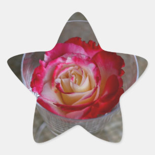 Pegatina En Forma De Estrella Primer color de rosa rosado en copa de vino