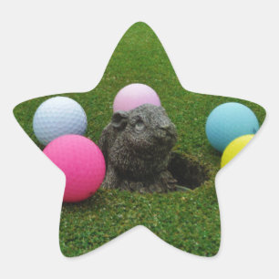 Pegatina En Forma De Estrella Producto personalizar