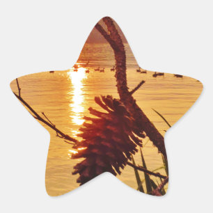 Pegatina En Forma De Estrella Puesta de sol en el lago Pinecone