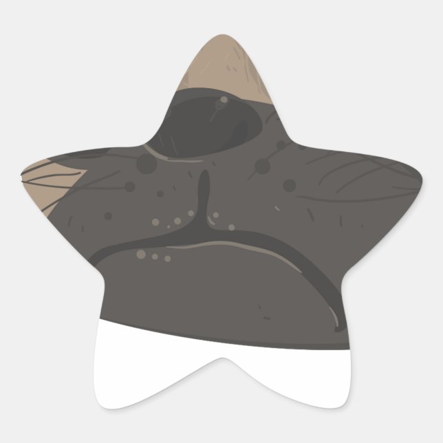 Pegatina En Forma De Estrella Pug y café (Anverso)