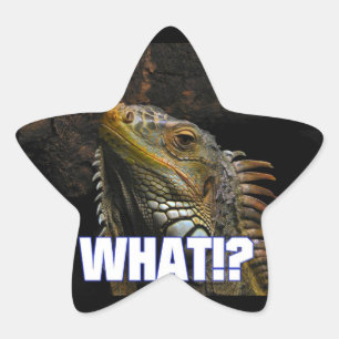 Pegatina En Forma De Estrella ¿¡Qué!? Iguana