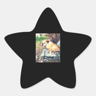 Pegatina En Forma De Estrella Regalos de los amantes del bulldog Tristemente D