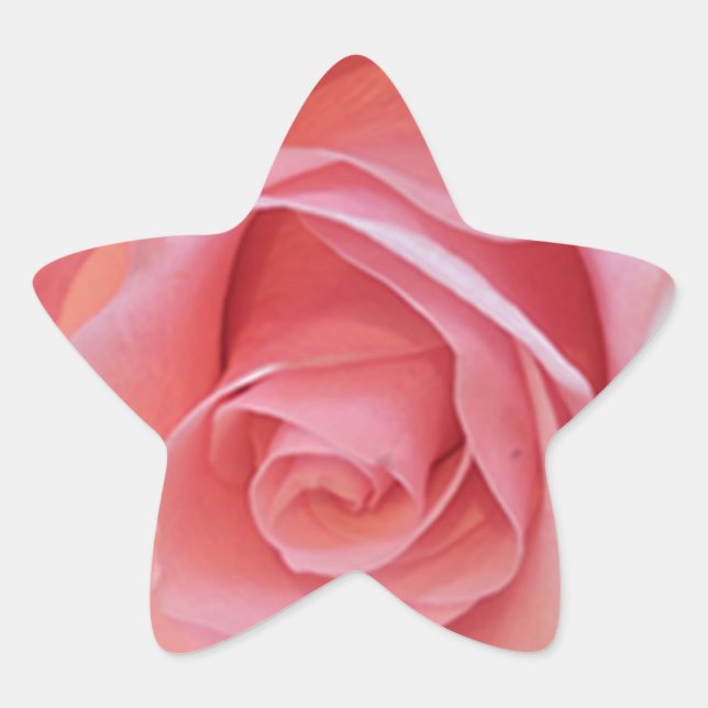 Pegatina En Forma De Estrella Rosa rosa (Anverso)