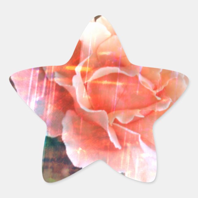 Pegatina En Forma De Estrella Rosa viejo y elegante (Anverso)