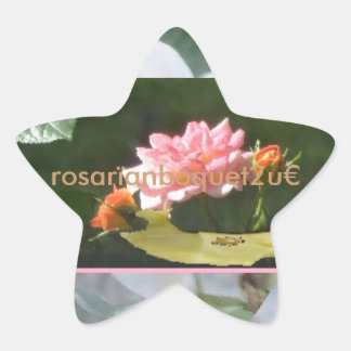 Pegatina En Forma De Estrella rosarïanboquet2u¤