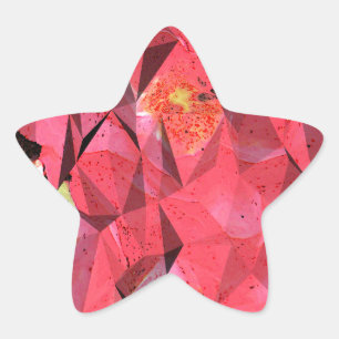 Pegatina En Forma De Estrella Rosas abstractos cubistas