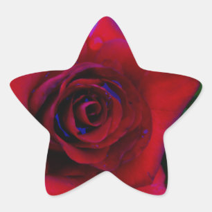 Pegatina En Forma De Estrella Roses rojos con tonos azules