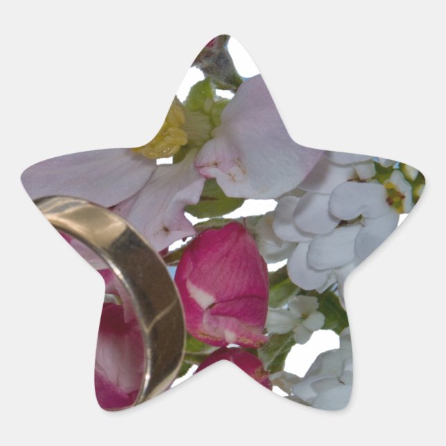 Pegatina En Forma De Estrella Saludos - Saludos (Anverso)