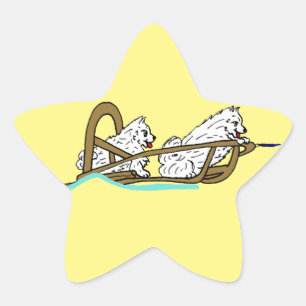 Pegatina En Forma De Estrella Samoyeds en Sled