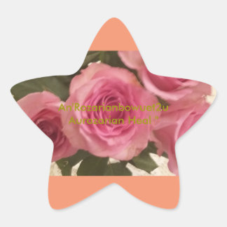 Pegatina En Forma De Estrella Sanación Aurozaria"