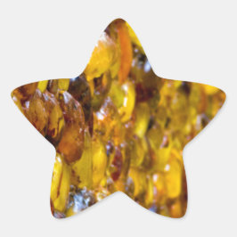 Pegatina En Forma De Estrella Santo Tomás 2