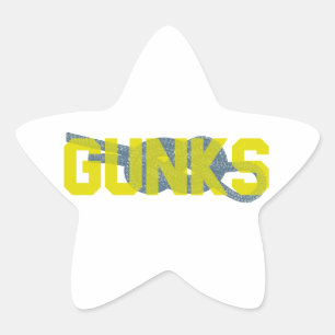 Pegatina En Forma De Estrella Shawagunks Climbing