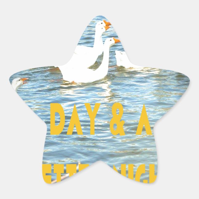 Pegatina En Forma De Estrella Siempre dejamos satisfechos a nuestros clientes. (Anverso)