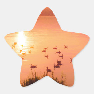 Pegatina En Forma De Estrella Sunset de lago rosa y melocotón
