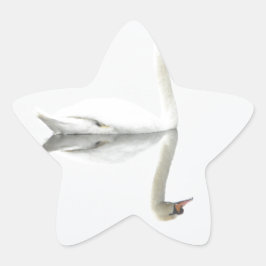 Pegatina En Forma De Estrella Swan