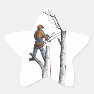 Pegatina En Forma De Estrella Sycamore y 020t