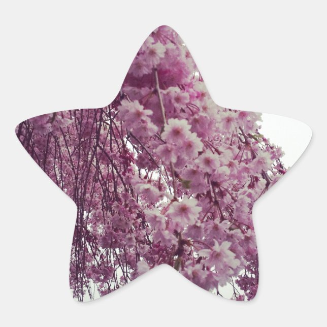 Pegatina En Forma De Estrella Tiempo de primavera (Anverso)