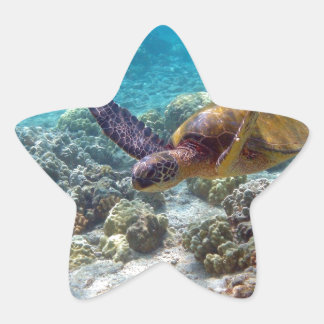 Pegatina En Forma De Estrella Tortuga verde