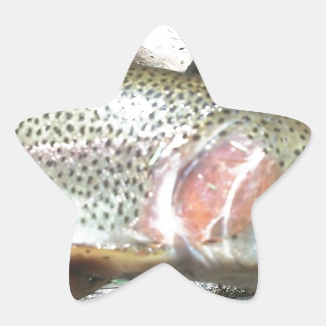 Pegatina En Forma De Estrella Trucha arco iris (Anverso)