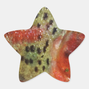 Pegatina En Forma De Estrella Trucha en Manos