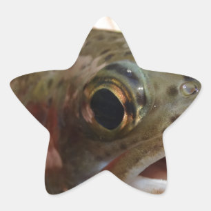 Pegatina En Forma De Estrella Trucha en Manos