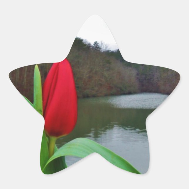 Pegatina En Forma De Estrella Tulipán rojo primaveral en el lago Arrowhead (Anverso)