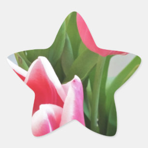 Pegatina En Forma De Estrella Tulipanes rosados, ramo floral de la primavera,