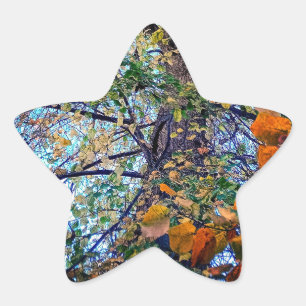 Pegatina En Forma De Estrella Un cambio en las hojas