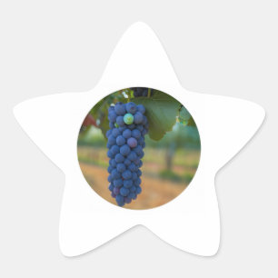 Pegatina En Forma De Estrella Un grupo de uvas moradas frescas