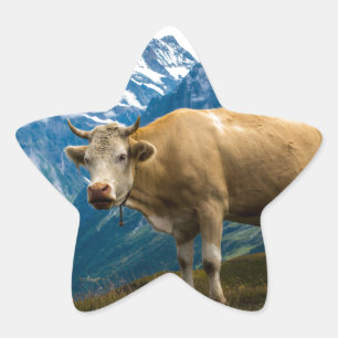 Pegatina En Forma De Estrella Vaca de Grindelwald - montañas de Bernese - Suiza