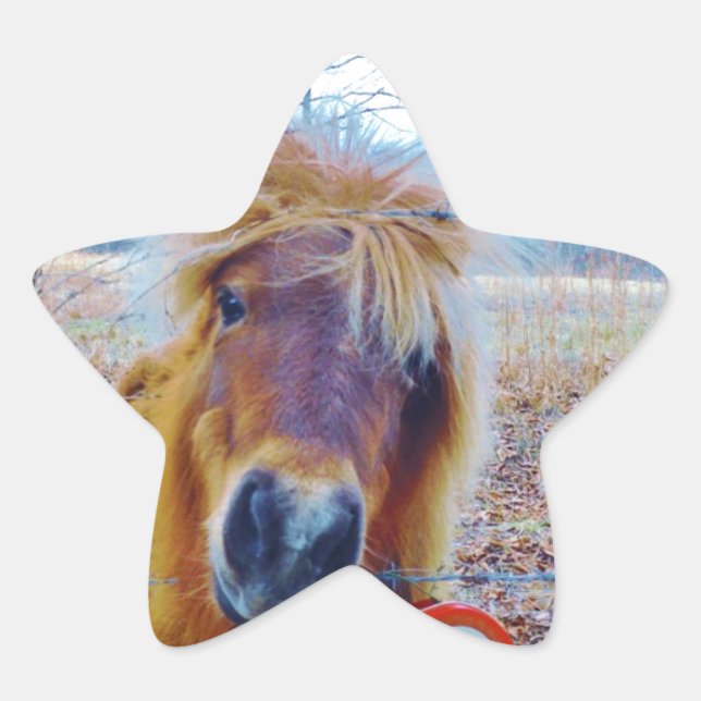 Pegatina En Forma De Estrella Valentine Heart Horse (Anverso)