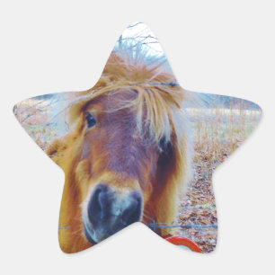 Pegatina En Forma De Estrella Valentine Heart Horse