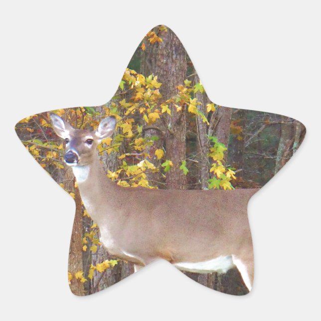 Pegatina En Forma De Estrella Venado frente al árbol amarillo otoñal (Anverso)