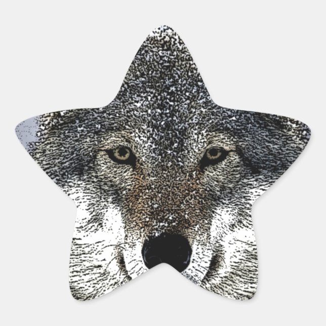 Pegatina En Forma De Estrella Wolf Eyes (Anverso)