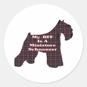 Pegatina en miniatura de Schnauzer BFF