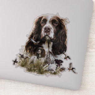 Pegatina English Springer Spaniel