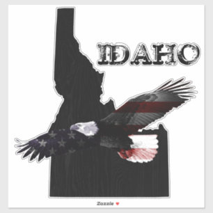 PEGATINA ENORME PATRIOTA EAGLE IDAHO