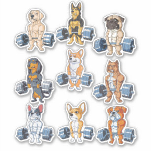 Pegatina Envase Gimnasio - Funny Gym Lover Pack 6