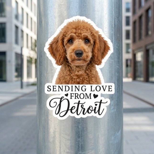 Pegatina Enviando Amor Desde Detroit (Peel, Stick, and Show Some Love.)