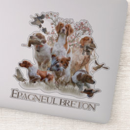 Pegatina Epagneul Breton, Bretaña Spaniel