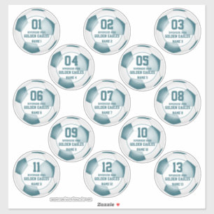 Pegatina equipo de 13 verde azulados chicas de la selección