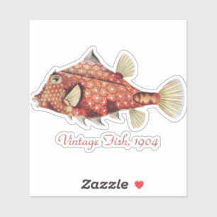 Pegatina Ernst Haeckel Pez caja rojo náutico vida marina