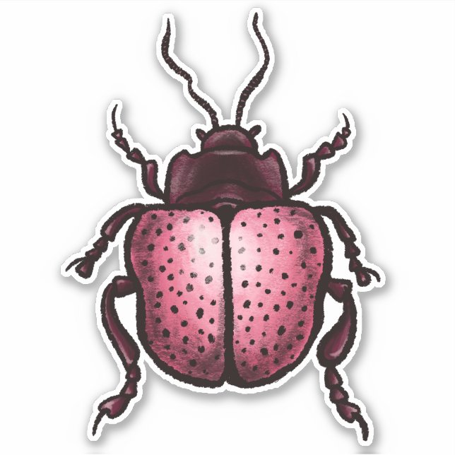 Pegatina Escarabajo Rosa Cute Bug Art - Amante de los insec (Anverso)