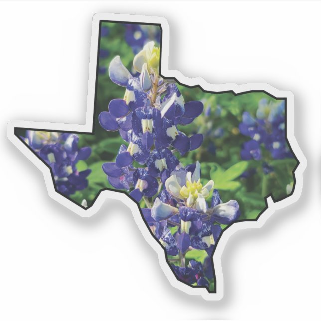 Pegatina Esquema de estado de Texas con Bluebonnets (Anverso)