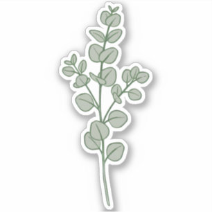 Pegatina Estética botánica de eucalipto verde salvia exuber
