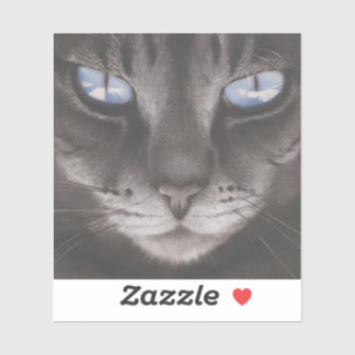 Pegatina Estilo de anime animal-6