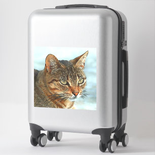 Pegatina Estilo Personalizado artístico Tabby Cat RB
